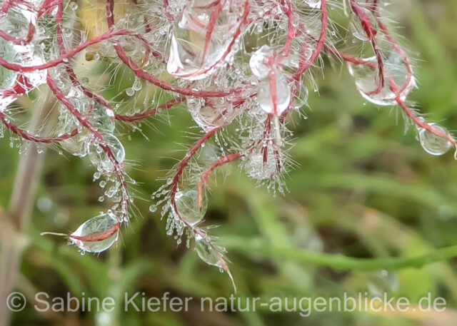 Regentropfenkunstwerk