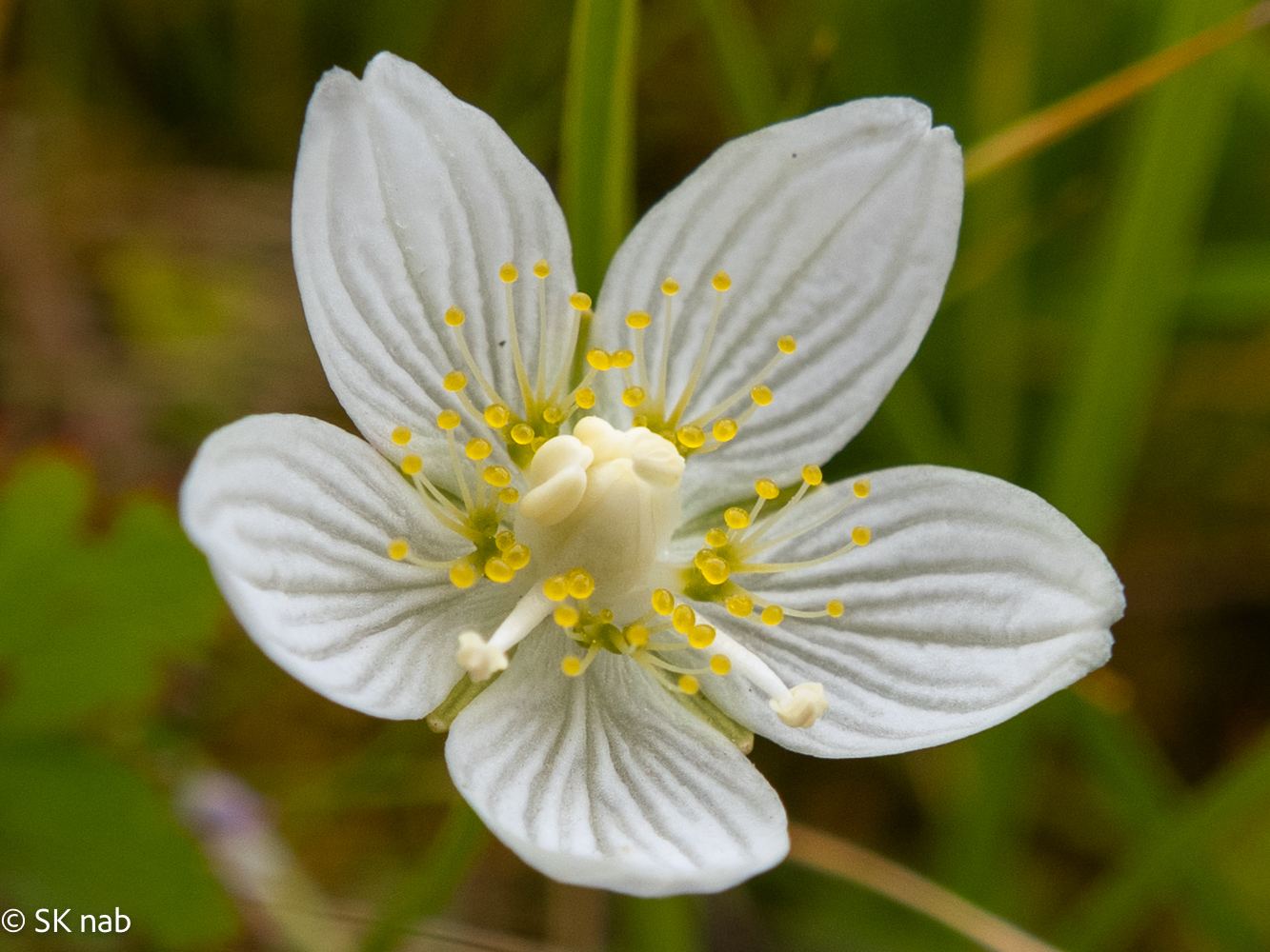 2025-08-14_Unners_Tälli_07