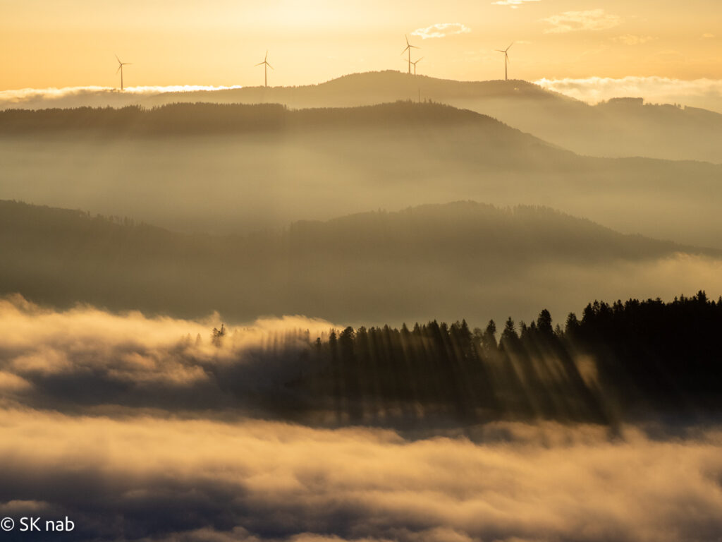 Goldenes Nebelmeer, Windräder, Südschwarzwald, goldene Stunde, Sonnenaufgang, Schwarzwald, Deutschland